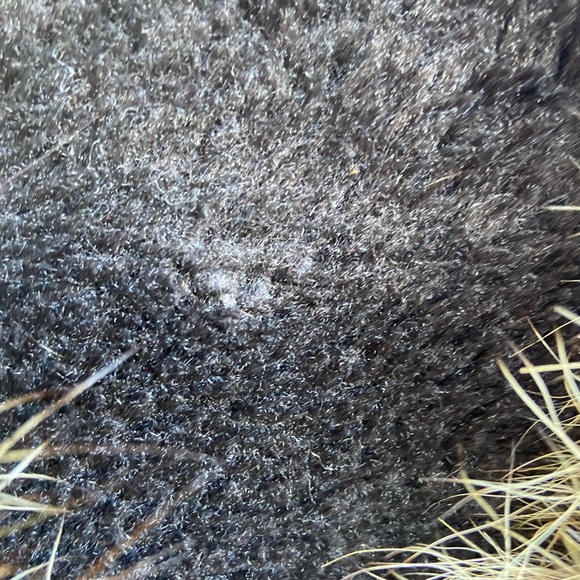 Vintage Juan Sebastian calf length size 10, original Raccoon fur, - Picture 9 of 9